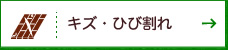 キズ・ひび割れ